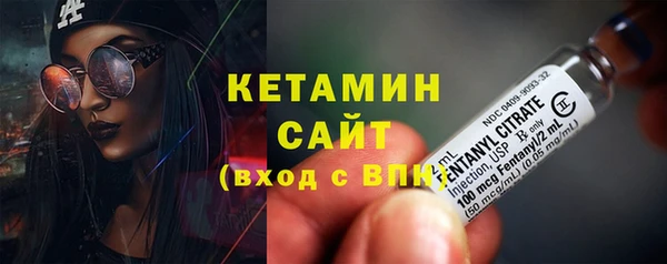 шишки Покачи