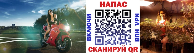 Бошки марихуана Bruce Banner  Купить  Тулун 